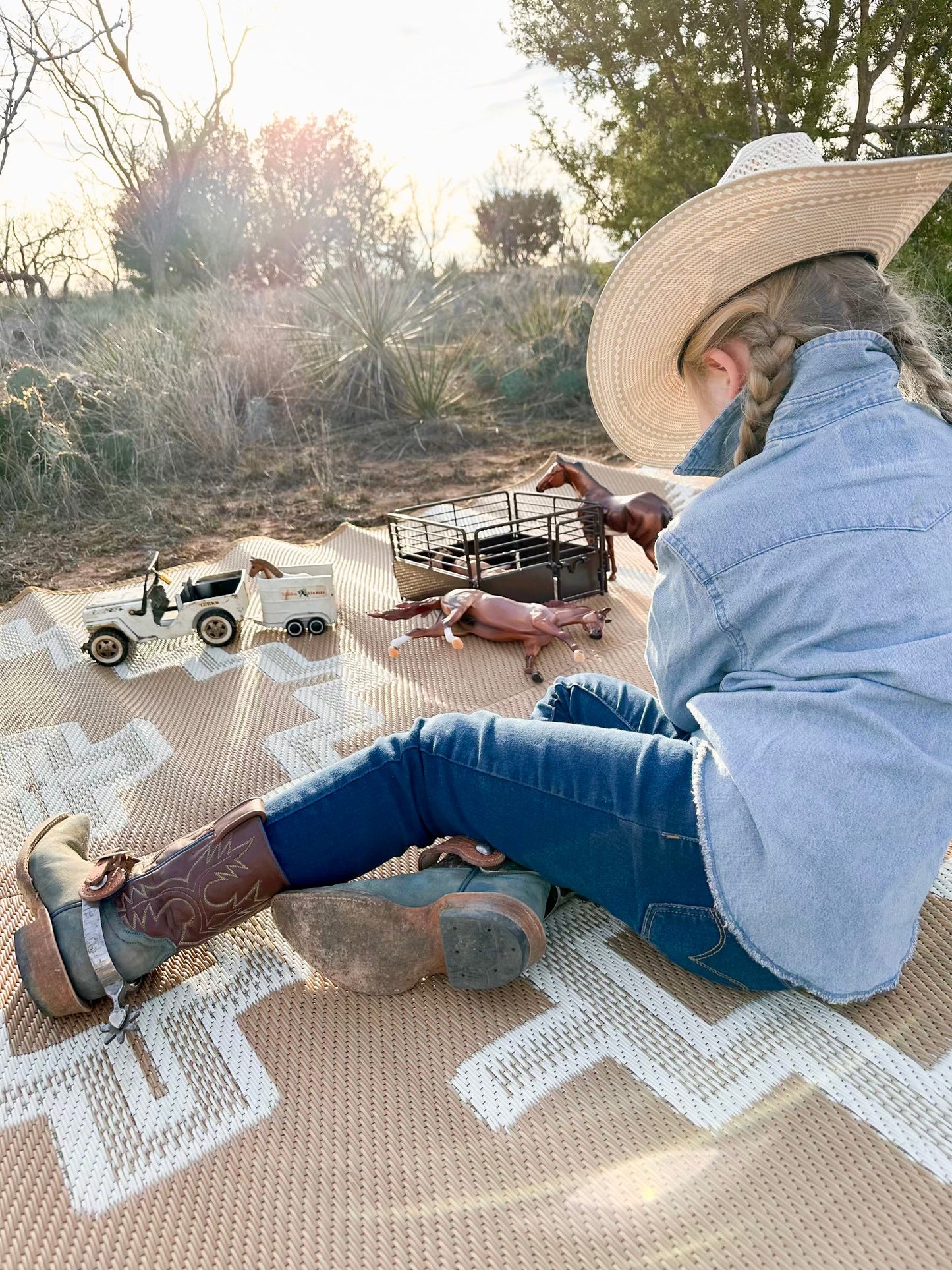 Alpine Ranch Rug 9ft x 12ft