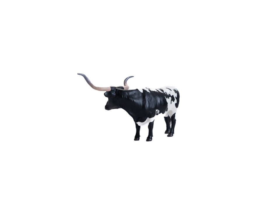 Texas Longhorn Steer *Black & White