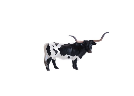 Texas Longhorn Steer *Black & White