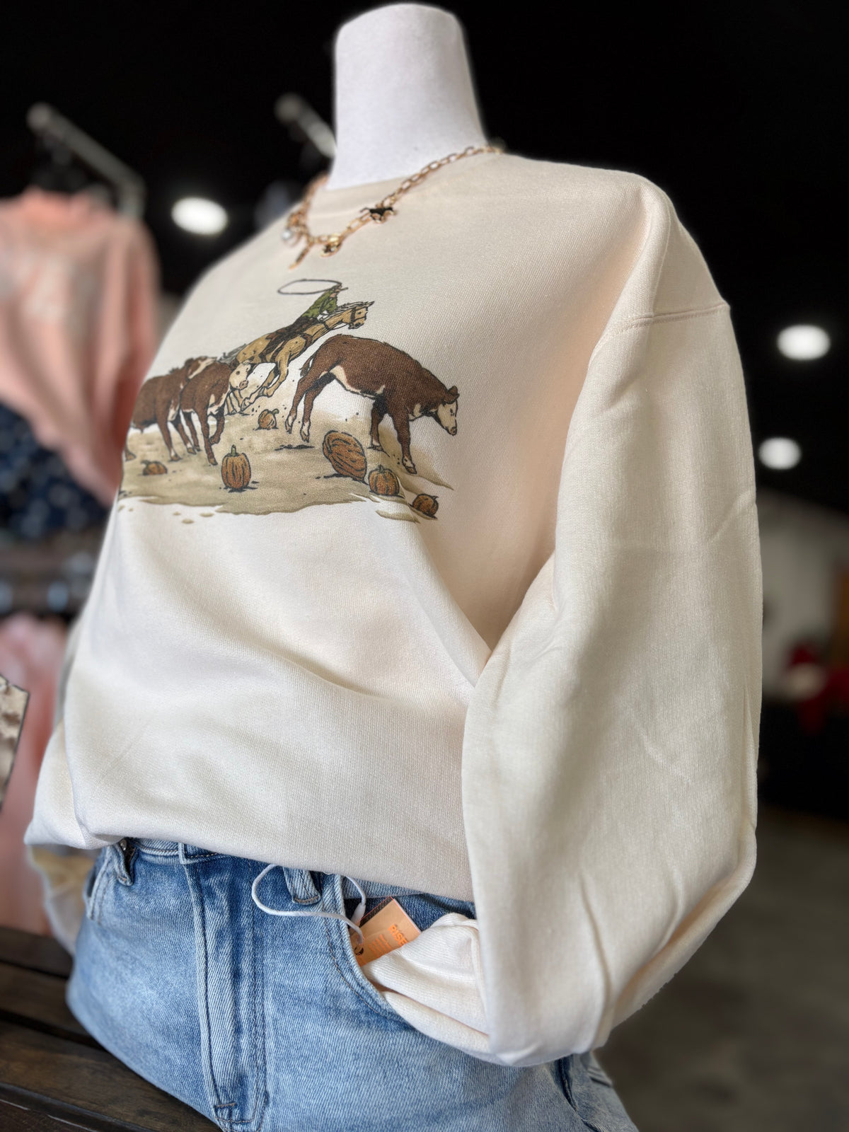 The Cowboys and Pumpkins Sweatshirt