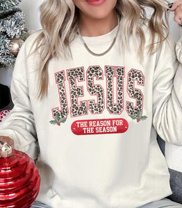 Jesus is the Reason Sweatshirt