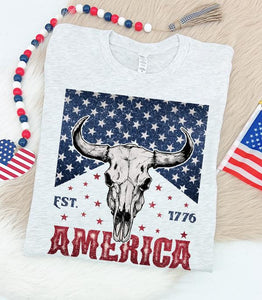 America 1776 Graphic Tee