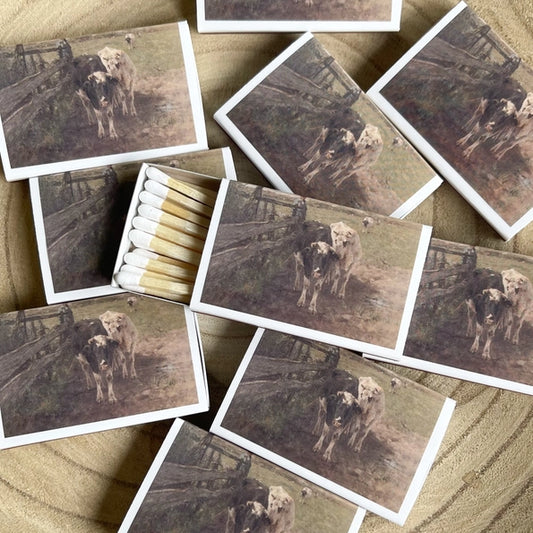 Cattlemen Cow Match Set