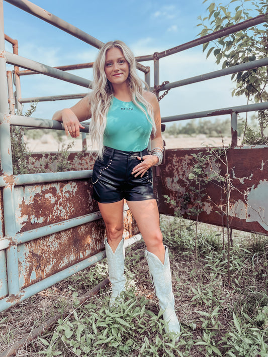 Faux Leather Suede Studded Shorts